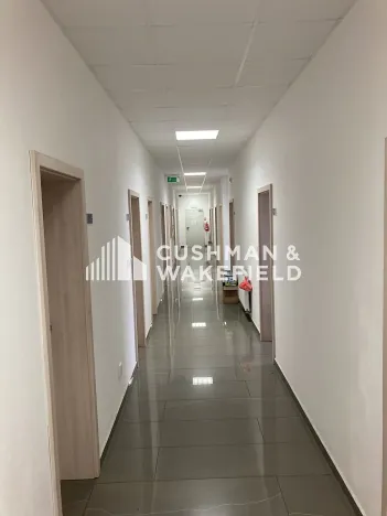 Pronájem skladu, Dubno, 5668 m2