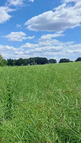Prodej pole, Libošovice, 19018 m2