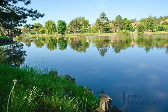 Prodej vinného sklepa, Hovorany, 258 m2