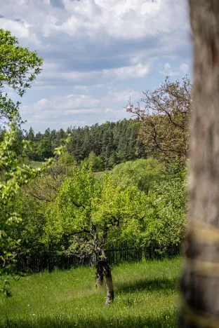 Prodej chalupy, Petrovice, 120 m2