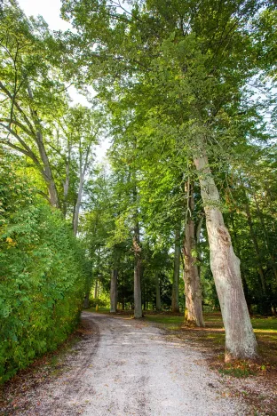 Prodej domu, Dolní Olešnice, 6264 m2