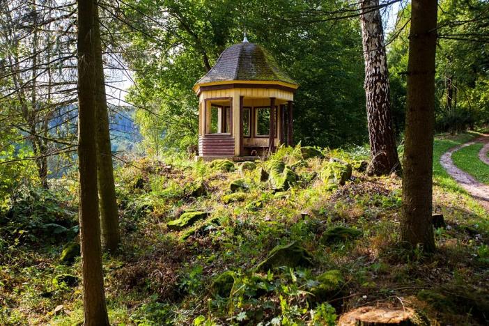 Prodej domu, Dolní Olešnice, 6264 m2