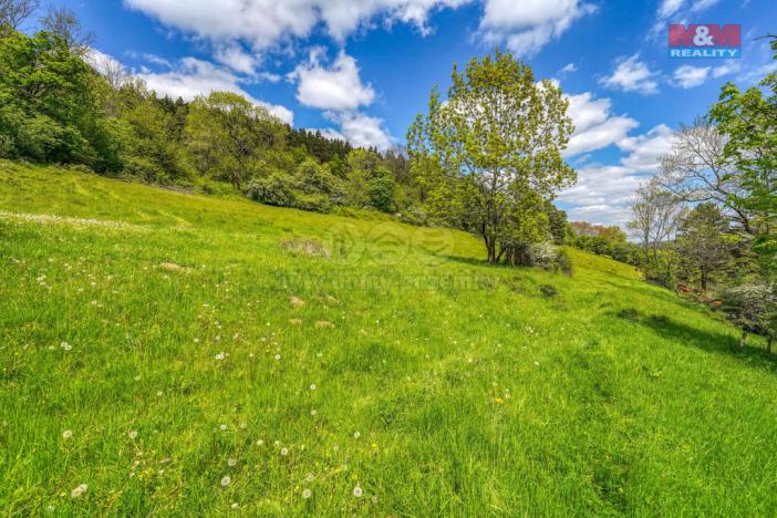 Prodej pozemku pro bydlení, Sušice - Nuzerov, 10400 m2