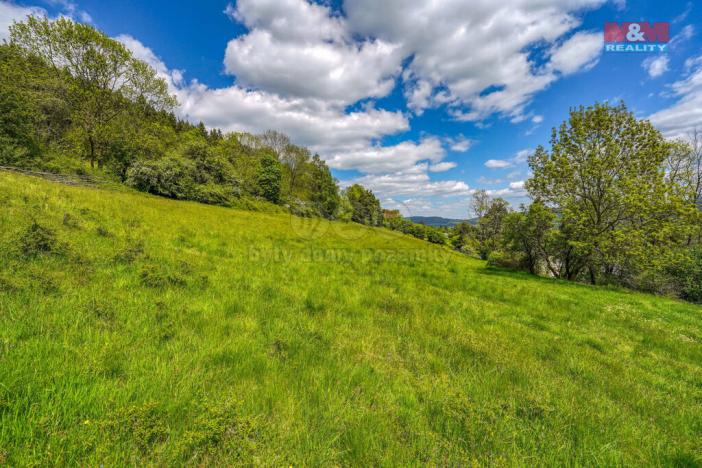 Prodej pozemku pro bydlení, Sušice - Nuzerov, 10400 m2