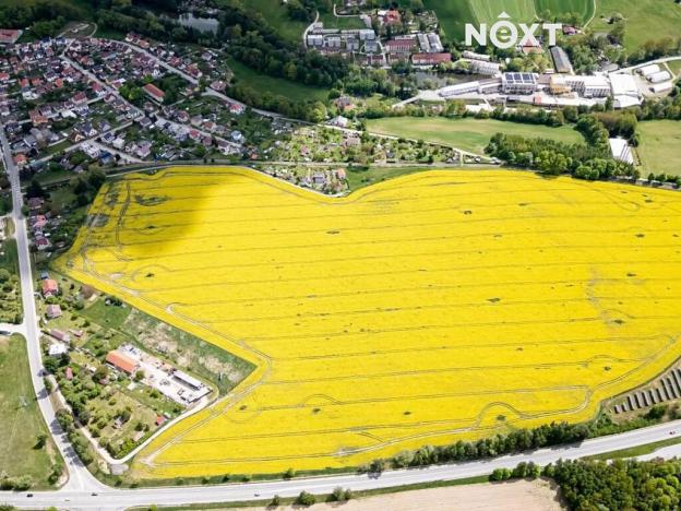 Prodej pole, Nová Včelnice, 9550 m2