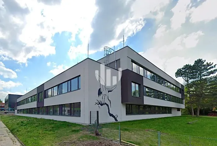 Pronájem kanceláře, Ostrava, Slavíkova, 1000 m2
