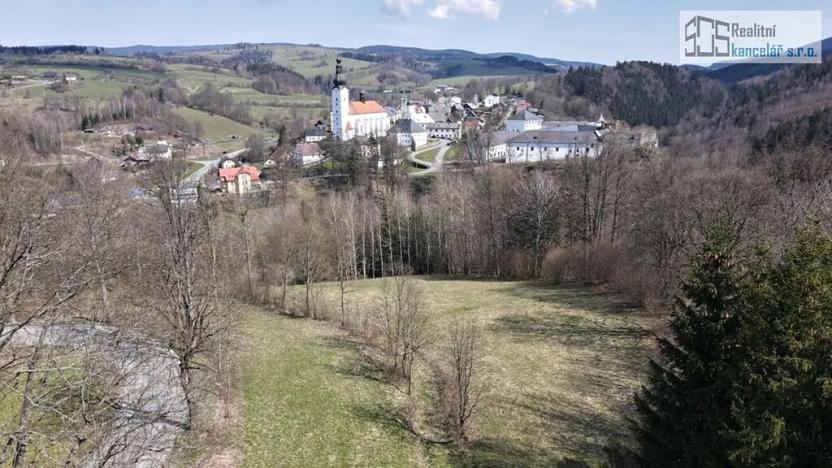 Prodej pozemku pro bydlení, Branná, 7409 m2