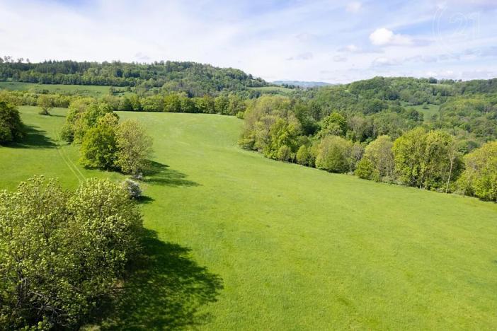 Prodej louky, Děčín, 19126 m2