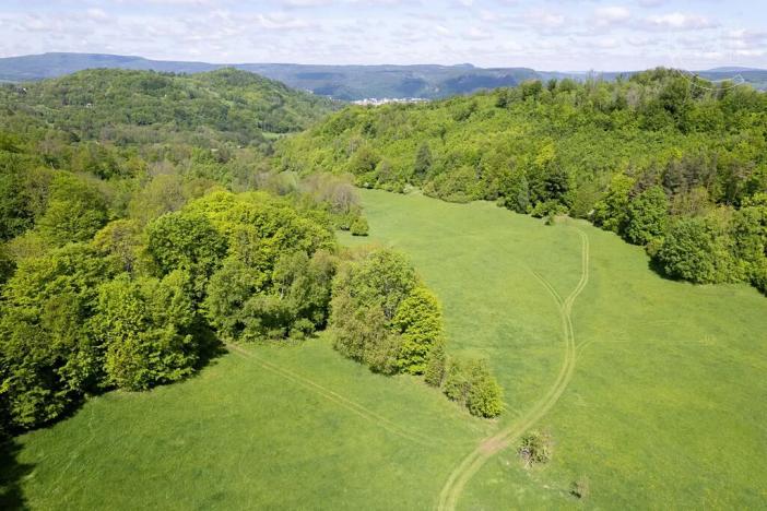 Prodej louky, Děčín, 22595 m2