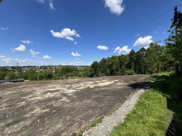 Prodej pozemku, Radvanice, 6000 m2