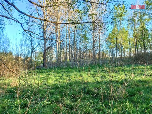 Prodej pozemku pro bydlení, Stará Voda, 2966 m2