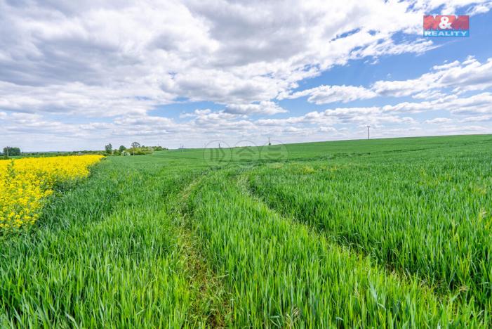 Prodej pozemku pro bydlení, Cerhenice, 48463 m2