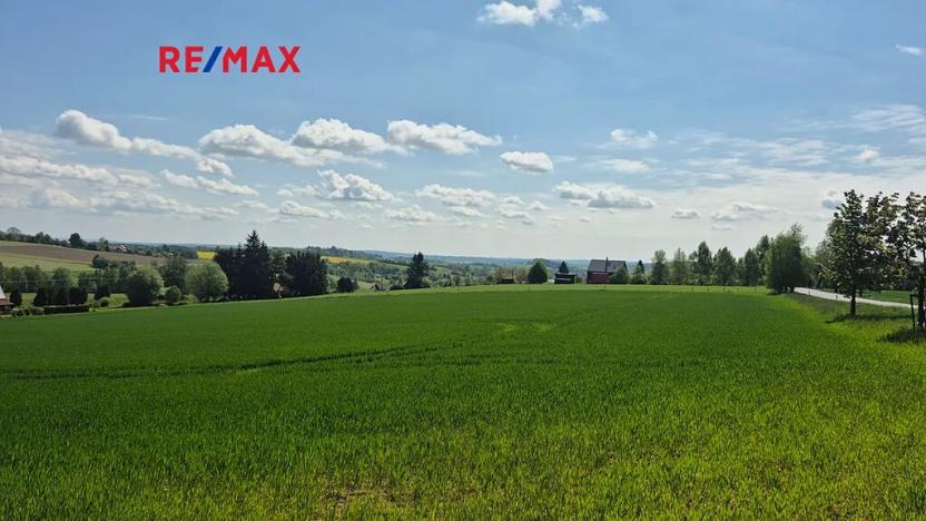 Prodej pozemku pro bydlení, Borová, 7429 m2