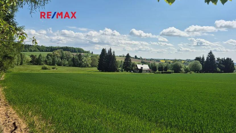 Prodej pozemku pro bydlení, Borová, 7429 m2