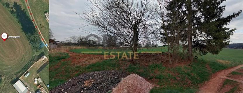 Prodej podílu louky, Pecka, 676 m2