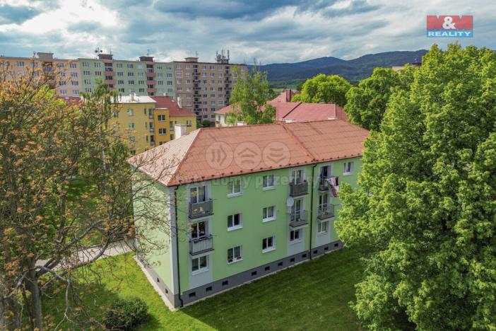 Prodej bytu 2+1, Ostrov, Šafaříkova, 55 m2