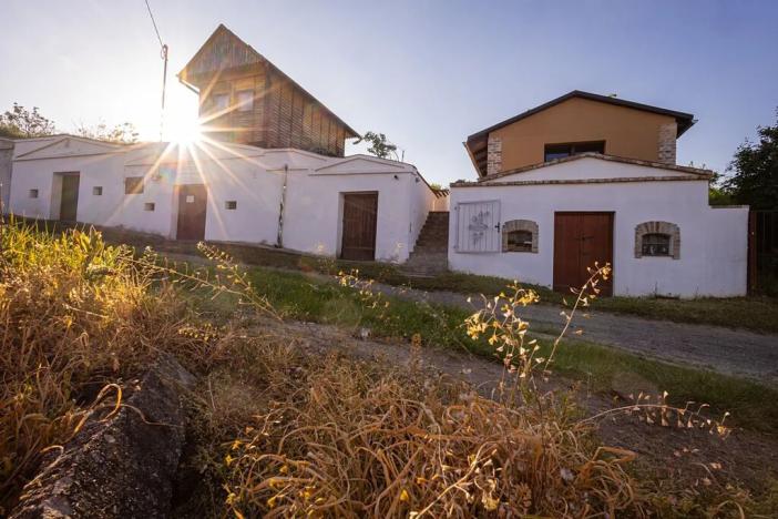 Prodej vinného sklepa, Sedlec, 209 m2