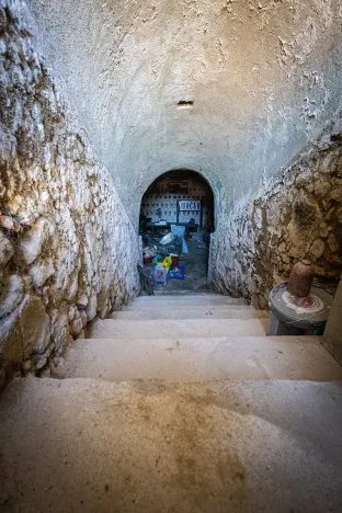 Prodej vinného sklepa, Sedlec, 209 m2