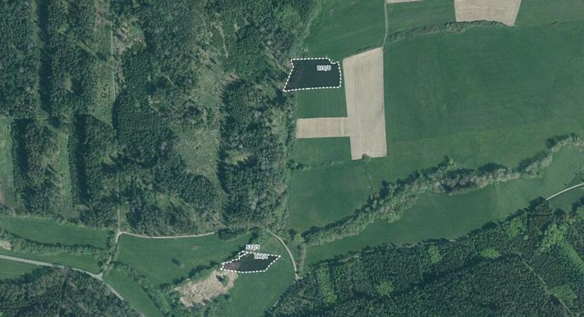 Prodej louky, Vlčí, 8741 m2