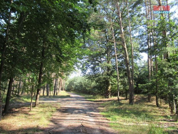 Prodej chaty, Kropáčova Vrutice - Střížovice, 38 m2