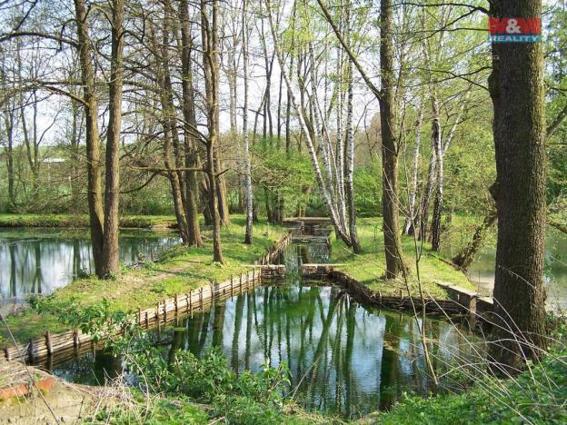 Prodej chaty, Kropáčova Vrutice - Střížovice, 38 m2