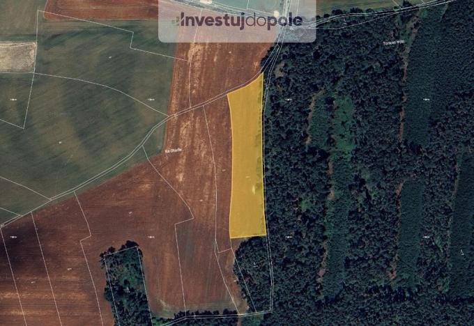 Prodej pole, Kropáčova Vrutice - Kojovice, 4796 m2
