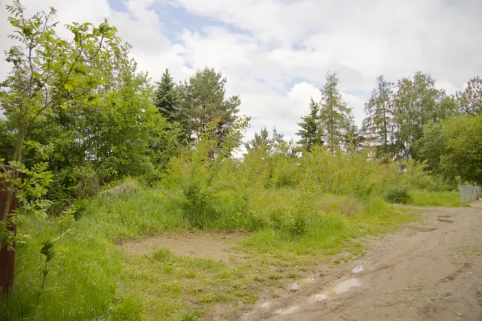 Prodej pozemku pro bydlení, Tábor, 1117 m2