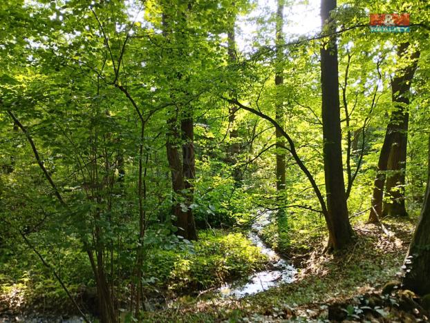 Pronájem chaty, Heřmanův Městec, Na Ježkovce, 387 m2