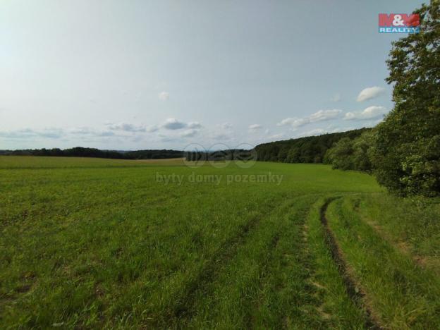 Pronájem chaty, Heřmanův Městec, Na Ježkovce, 387 m2