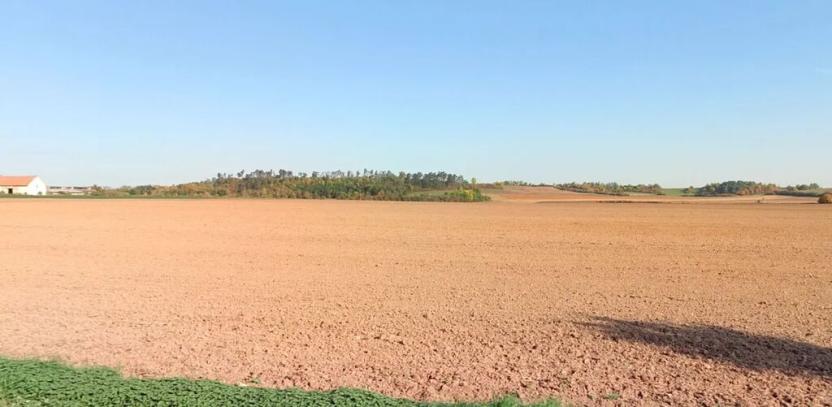 Prodej pole, Chrast, 2150 m2