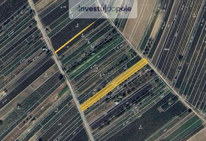 Prodej pole, Dolní Bojanovice, 1330 m2