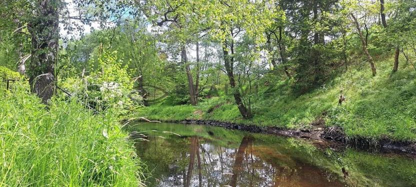 Prodej chaty, Kaplice, 80 m2