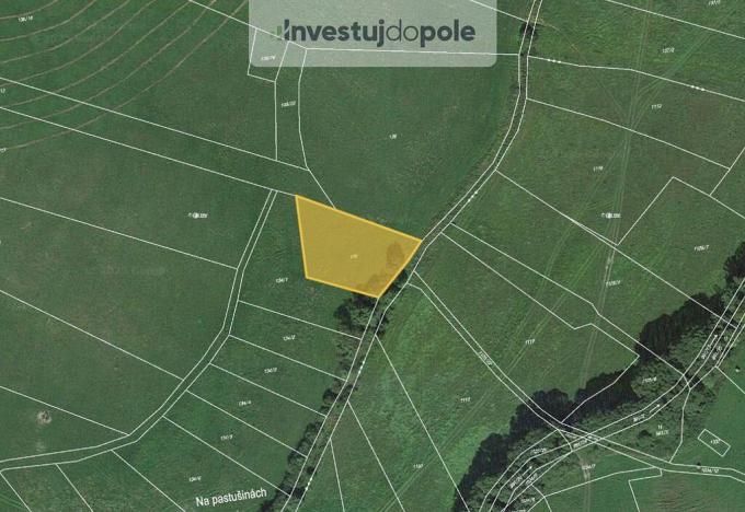 Prodej pole, Neurazy - Nová Ves u Nepomuka, 1677 m2