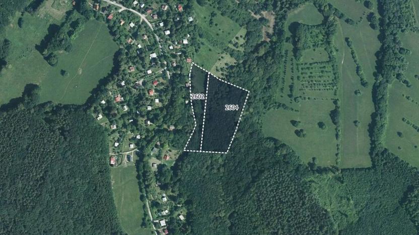 Prodej podílu louky, Radějov, 8566 m2