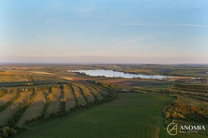 Prodej ubytování, Lednice, Nejdecká, 594 m2