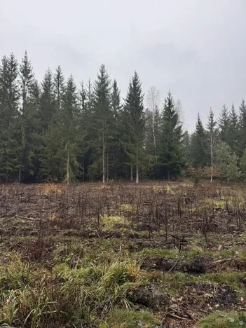 Prodej pozemku, Veliny, 16991 m2
