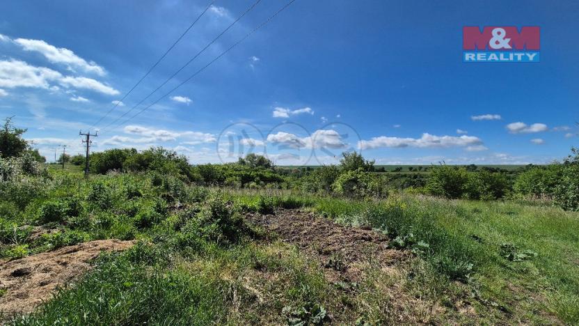 Prodej pozemku pro bydlení, Hrušovany, 30076 m2