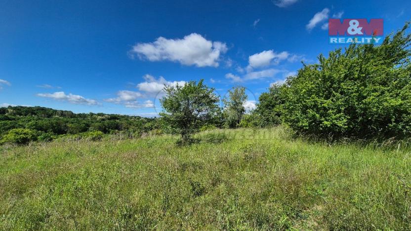 Prodej pozemku pro bydlení, Hrušovany, 30076 m2