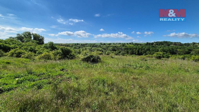 Prodej pozemku pro bydlení, Hrušovany, 30076 m2