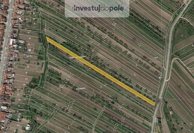 Prodej pole, Kobylí, 2490 m2