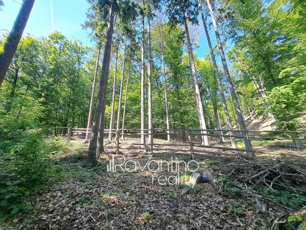 Prodej chaty, Týnec nad Sázavou, 129 m2