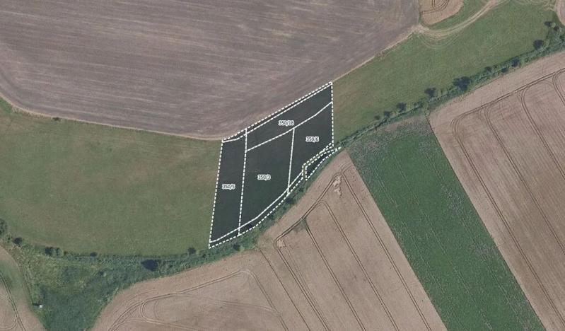 Prodej pole, Kosořice, 14150 m2