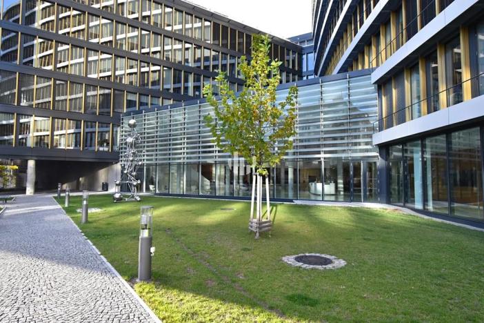 Pronájem kanceláře, Praha - Nusle, Pikrtova, 739 m2