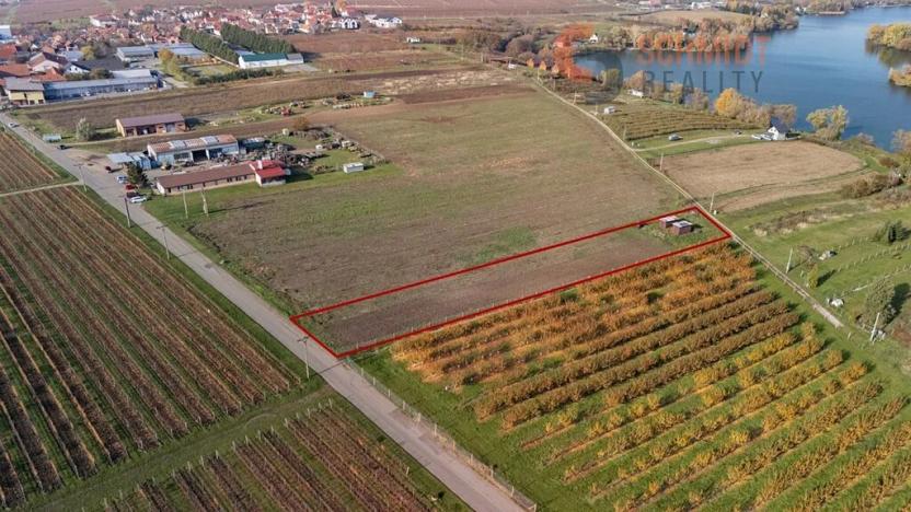 Prodej sadu/vinice, Velké Bílovice, U Rybníka, 2791 m2