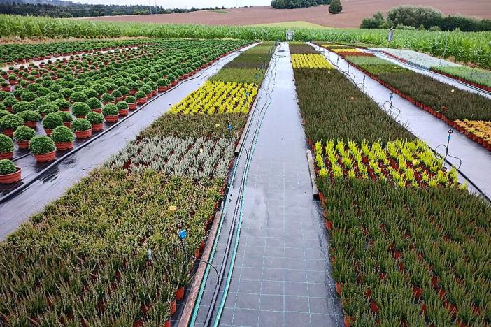 Prodej komerční nemovitosti, Miřetice, 956 m2