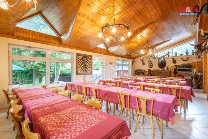 Prodej restaurace, Kyselka - Radošov, 15771 m2