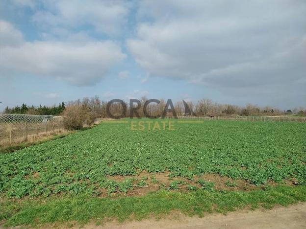 Prodej pozemku pro bydlení, Vranovice, 2418 m2