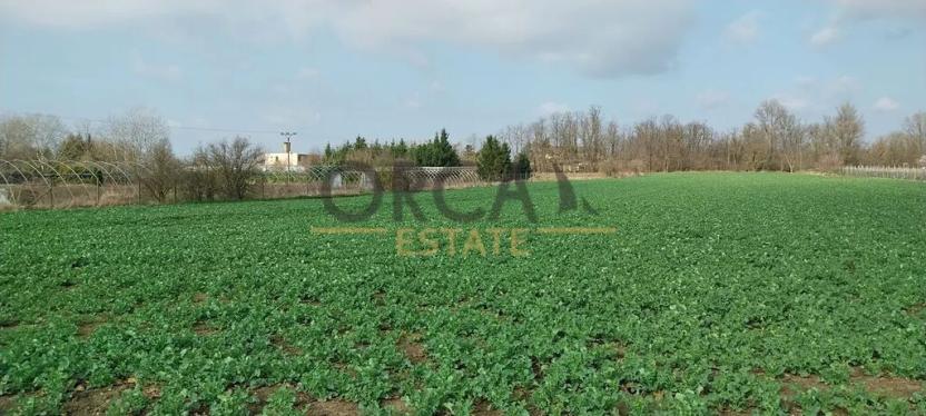 Prodej pozemku pro bydlení, Vranovice, 2418 m2