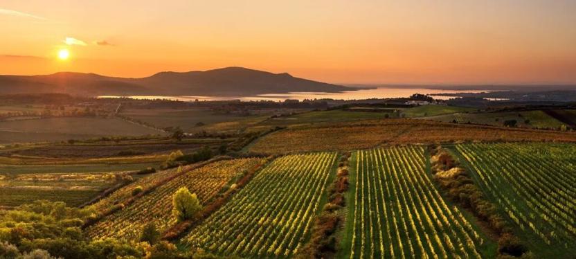 Prodej rodinného domu, Pasohlávky, 134 m2