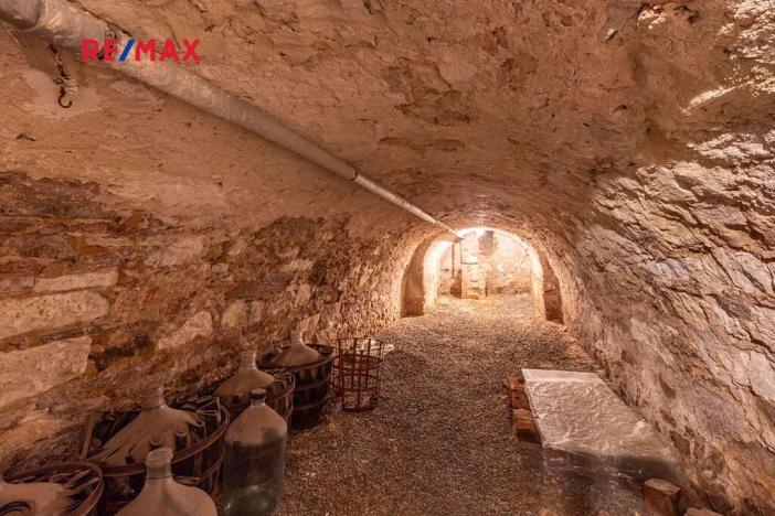 Prodej vícegeneračního domu, Obora, 900 m2